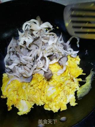 平菇炒鸡蛋的做法步骤：5