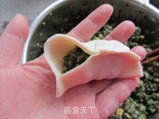 荠菜笋尖猪肉饺的做法步骤：13