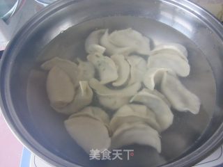 荠菜笋尖猪肉饺的做法步骤：16