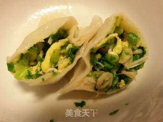 小白菜金针菇饺子的做法步骤：7