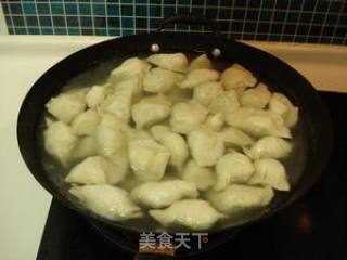 萝卜虾皮鸡蛋水饺的做法步骤：21
