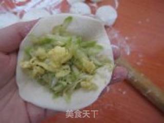 西葫芦鸡蛋虾皮蒸饺的做法步骤：11
