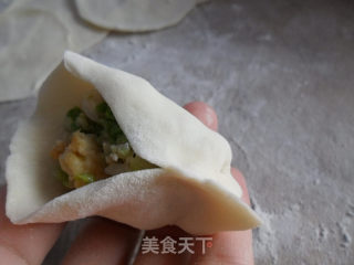 白菜虾皮鸡蛋饺子的做法步骤：10
