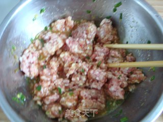 紫菜虾皮肉饺的做法步骤：1