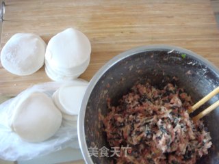 紫菜虾皮肉饺的做法步骤：5