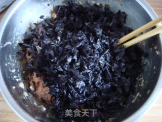 紫菜虾皮肉饺的做法步骤：4