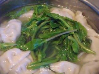紫菜虾皮肉饺的做法步骤：8