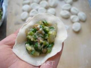 白菜虾仁水饺的做法步骤：21