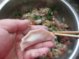 小白菜虾肉馅饺子的做法步骤：16