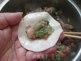 小白菜虾肉馅饺子的做法步骤：15