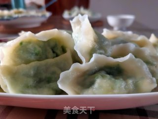 韭菜虾仁饺子的做法步骤：16