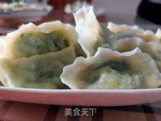 韭菜虾仁饺子的做法步骤：17