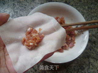 紫菜虾皮多肉馄饨的做法步骤：7