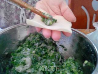 巴沙鱼韭菜馄炖的做法步骤：15