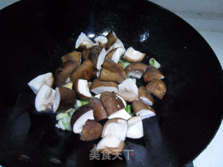 白菜炖豆腐的做法步骤：7