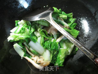 秀珍菇虾仁炒小白菜的做法步骤：4