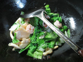 秀珍菇虾仁炒小白菜的做法步骤：5