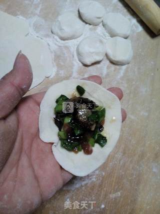 韭菜虾仁水饺的做法步骤：11