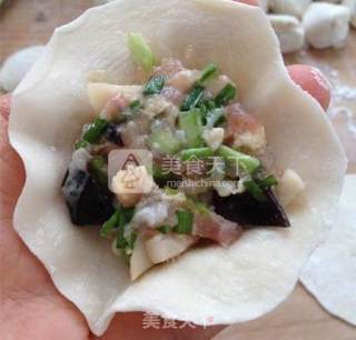 杏鲍菇鲜肉虾仁水饺的做法步骤：10