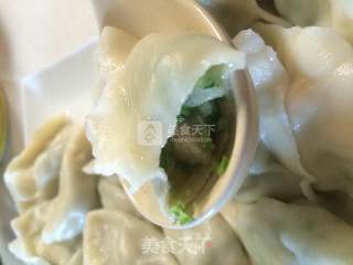 黄瓜虾仁水饺的做法步骤：8