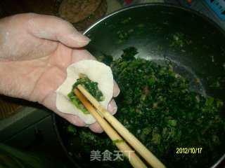 ✿小白菜鲜肉水饺✿的做法步骤：19