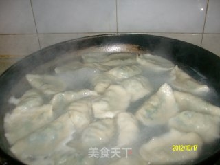 ✿小白菜鲜肉水饺✿的做法步骤：23