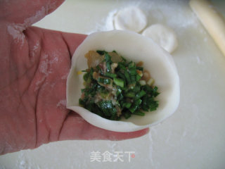 韭菜虾仁猪肉饺子的做法步骤：10