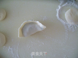 韭菜虾仁猪肉饺子的做法步骤：11