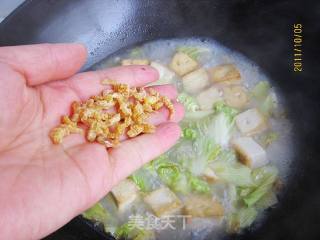鲜汤白菜粉丝炖豆腐的做法步骤：7
