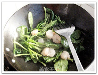 虾仁烧菠菜的做法步骤：5