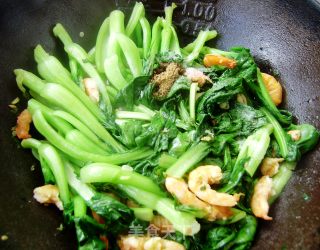海米油菜的做法步骤：4