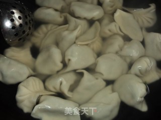 韭菜虾皮饺的做法步骤：4