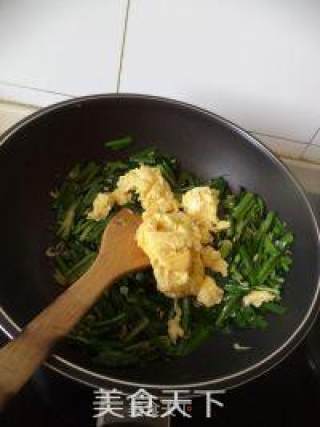 补钙又美容--韭菜虾皮炒鸡蛋的做法步骤：7