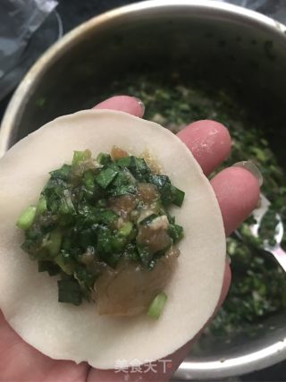韭菜虾仁肉馅饺子的做法步骤：6