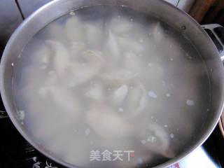韭菜虾仁水饺的做法步骤：15