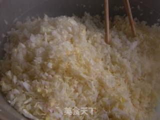 大白菜猪肉虾饺的做法步骤：4