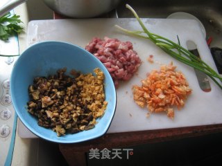 红萝卜虾仁饺的做法步骤：1