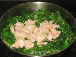 菠菜炒白虾的做法步骤：6