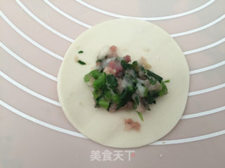 虾仁青菜饺子的做法步骤：13