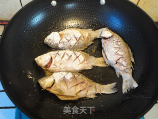 河虾烧鲫鱼的做法步骤：3