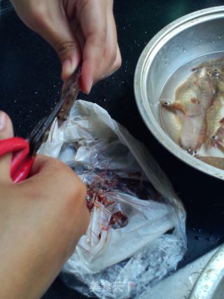 干贝基尾虾粥（简单易做）的做法步骤：6