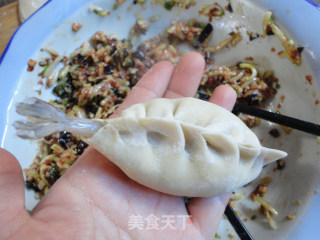鲜虾猪肉大蒸饺的做法步骤：8