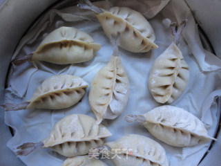 鲜虾猪肉大蒸饺的做法步骤：9
