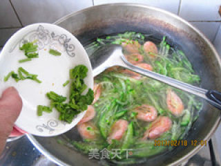 清水煮鲜虾萝卜丝汤的做法步骤：9