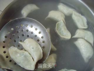 清香鲜甜---韭菜虾仁饺子的做法步骤：8
