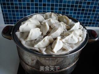虾仁鲜肉蒸饺的做法步骤：15