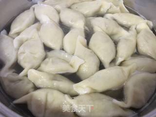 猪肉芹菜白菜水饺的做法步骤：10