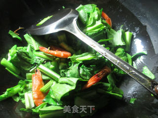 【宁波】虾干油菜蕻煮粉丝的做法步骤：3