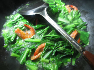 【宁波】虾干油菜蕻煮粉丝的做法步骤：4