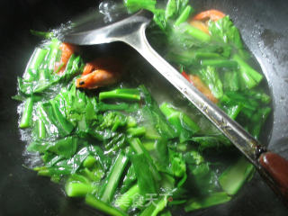 【宁波】虾干油菜蕻煮粉丝的做法步骤：5